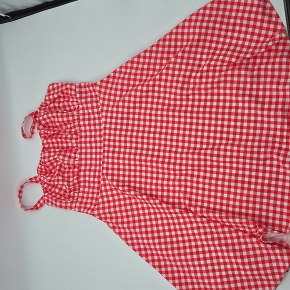 Red Plus Size Gingham Fit and Flare Dress - Picture 14 of 16